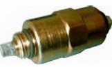 Stopmagneet 12V CAV / Delphi Citroen Peug 