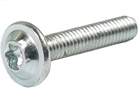 Schroef M4x24.4 T20
