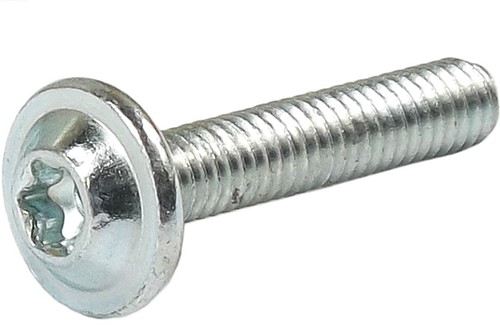 Schroef M4x24.4 T20