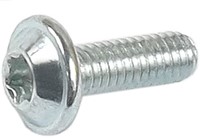 Schroef M4x15.4 T20