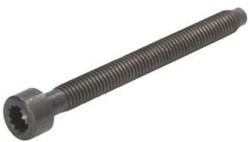 CR Verstuiver bout VAG 038103385A M6x64