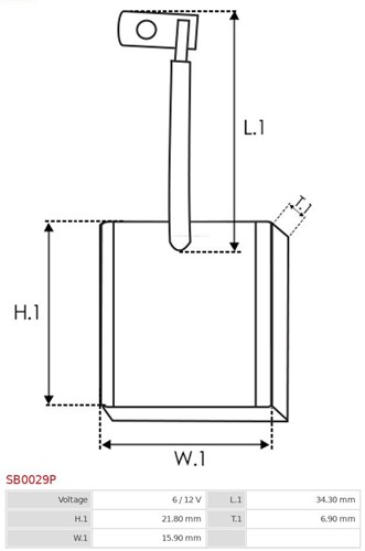 Koolborstel 6.9x15.9x21.8 Bosch-2