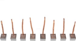 Koolborstel 7x11 (set 8st)