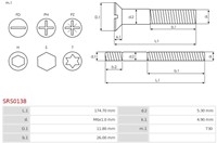 Bout M6x174-2